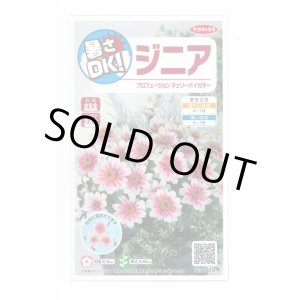 画像: 送料無料　花の種　ジニア　プロフュージョン　チェリーバイカラー　約10粒　(株)サカタのタネ　実咲250（026281）