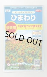 画像: 送料無料　花の種　ひまわり　ビューティフルサン　約7平米用　(株)サカタのタネ　実咲350（026179）