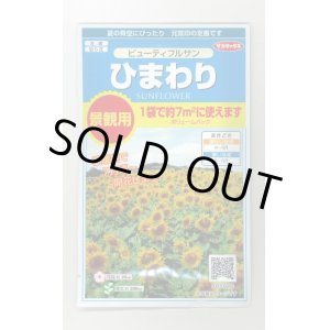 画像: 送料無料　花の種　ひまわり　ビューティフルサン　約7平米用　(株)サカタのタネ　実咲350（026179）