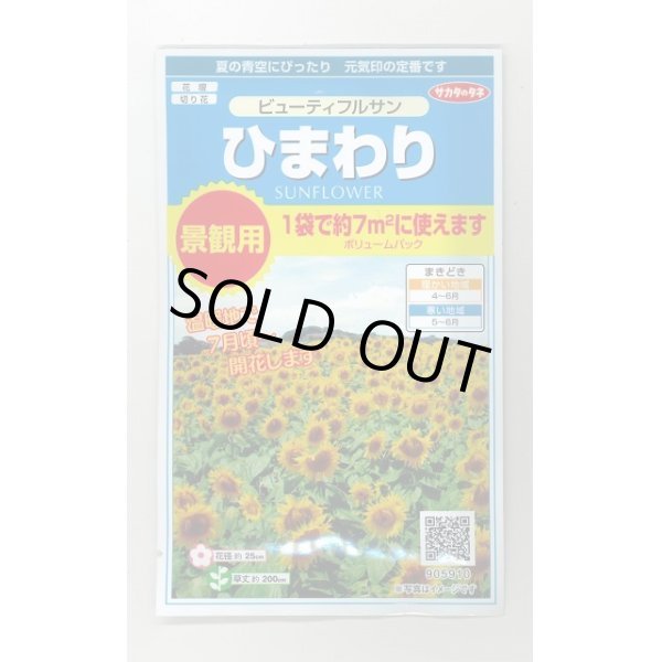 画像1: 送料無料　花の種　ひまわり　ビューティフルサン　約7平米用　(株)サカタのタネ　実咲350（026179） (1)