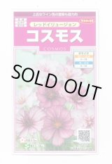 画像: 送料無料　花の種　コスモス　レッドイリュージョン　約29粒　(株)サカタのタネ　実咲350（026110）