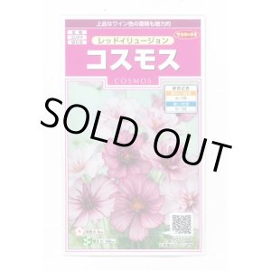 画像: 送料無料　花の種　コスモス　レッドイリュージョン　約29粒　(株)サカタのタネ　実咲350（026110）