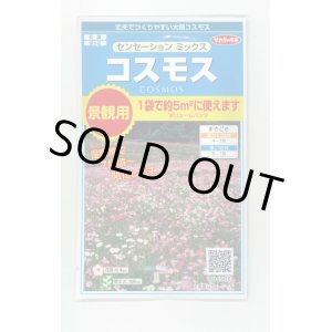 画像: 送料無料　花の種　景観用コスモス　センセーションミックス　(株)サカタのタネ　実咲350（026176）