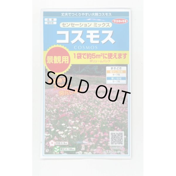 画像1: 送料無料　花の種　景観用コスモス　センセーションミックス　(株)サカタのタネ　実咲350（026176） (1)