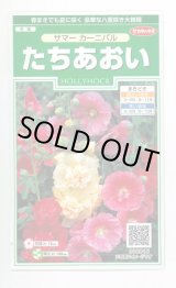 画像: 送料無料　花の種　たちあおい　サマーカーニバル　約25粒　　(株)サカタのタネ　実咲250（026292）