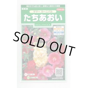 画像: 送料無料　花の種　たちあおい　サマーカーニバル　約25粒　　(株)サカタのタネ　実咲250（026292）