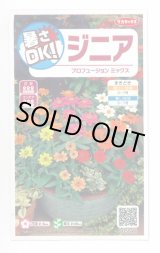 画像: 送料無料　花の種　ジニア　プロフュージョンミックス　約15粒　(株)サカタのタネ　実咲350（026153）