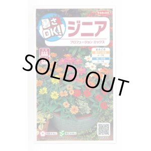 画像: 送料無料　花の種　ジニア　プロフュージョンミックス　約15粒　(株)サカタのタネ　実咲350（026153）