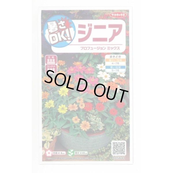 画像1: 送料無料　花の種　ジニア　プロフュージョンミックス　約15粒　(株)サカタのタネ　実咲350（026153） (1)