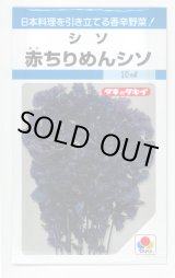 画像: 送料無料　[葉物]　赤ちりめんシソ　9ml　タキイ種苗　MF