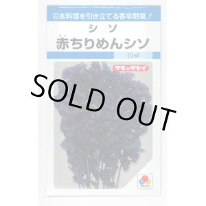 画像: 送料無料　[葉物]　赤ちりめんシソ　9ml　タキイ種苗　MF