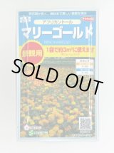 画像: 送料無料　花の種　マリーゴールド　アフリカントール　約3平米用　(株)サカタのタネ　実咲350（026180）