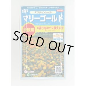 画像: 送料無料　花の種　マリーゴールド　アフリカントール　約3平米用　(株)サカタのタネ　実咲350（026180）