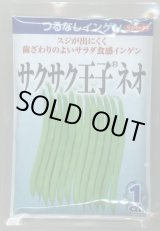 画像: 送料無料　[いんげん]　つるなしいんげん　サクサク王子ネオ　1dl　(株)サカタのタネ