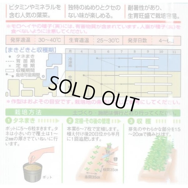 画像2: 送料無料　[葉物]　モロヘイヤ　1.5ml　タキイ種苗(株)　GF (2)