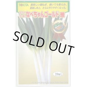 画像: 送料無料　[ねぎ]　なべちゃんゴールド葱　20ml　トキタ種苗(株)