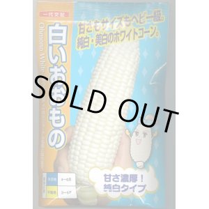 画像: 送料無料　[とうもろこし]白いおおもの　200粒　ナント種苗(株)