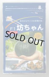 画像: 送料無料　[かぼちゃ]　坊ちゃん　500粒　ヴィルモランみかど