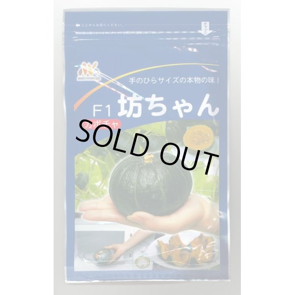 画像1: 送料無料　[かぼちゃ]　坊ちゃん　500粒　ヴィルモランみかど (1)