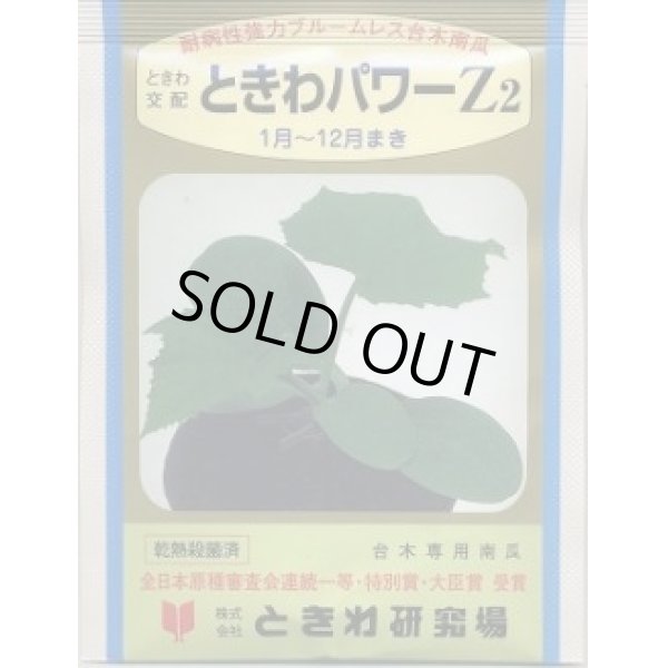 画像1: 送料無料　[台木/キュウリ用]　パワーＺ2　350粒　(株)ときわ研究場 (1)