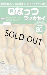 画像: 送料無料　[落花生]　落花生種　Ｑなっつ　50ml　(およそ28粒)渡辺農事株式会社