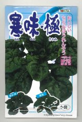 画像: 送料無料　[ほうれんそう]　寒味・極　30ml　トキタ種苗(株)