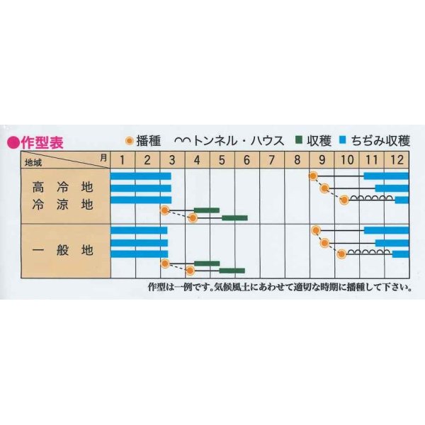 画像2: 送料無料　[ほうれんそう]　寒味・極　1万粒　トキタ種苗(株) (2)