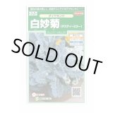 画像: 送料無料　花の種　白妙菊　ダイヤモンド　約215粒　（株）サカタのタネ　実咲250（026246）