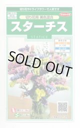 画像: 送料無料　花の種　スターチス　切り花用　美色混合　約54粒　(株)サカタのタネ　実咲250（026254）