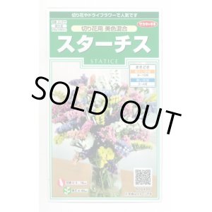 画像: 送料無料　花の種　スターチス　切り花用　美色混合　約54粒　(株)サカタのタネ　実咲250（026254）