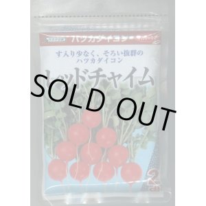 画像: 送料無料　[大根]　はつかだいこん　レッドチャイム　2dl　(株)サカタのタネ