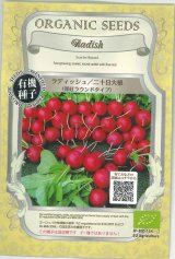 画像: 送料無料　[有機種子]　ラディッシュ　二十日大根　深紅ラウンドタイプ　固定種　2ｇ(約150粒)　(株)グリーンフィールドプロジェクト