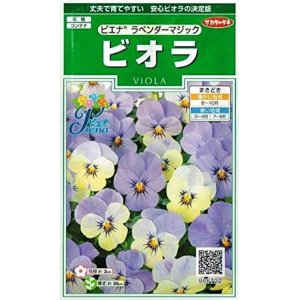 画像: 送料無料　花の種　ビオラ　ピエナ　ラベンダーマジック　20粒　(株)サカタのタネ　実咲250（026271）