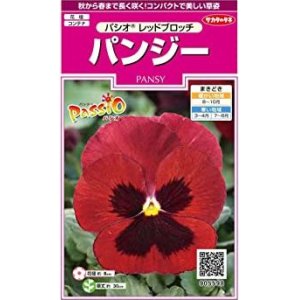 画像: 送料無料　花の種　パンジー　パシオ　レッドブロッチ　約34粒　(株)サカタのタネ　実咲350（026139）