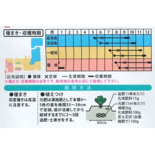 画像2: 送料無料　[キャベツ]　翠緑　1ml　(株)大和農園 (2)