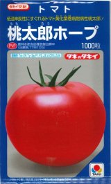 画像: 送料無料　[トマト/桃太郎系]　桃太郎ホープ　1000粒　貴種(コートしてません)　タキイ種苗(株)