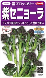 画像: 送料無料　[ブロッコリー]　紫セニョーラ　約20粒　（株）サカタのタネ(株)　実咲450（003235）