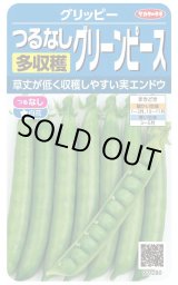 画像: 送料無料　[グリーンピース]　つるなし　グリーンピース　約75粒 　(株)サカタのタネ 実咲350 （003246）　