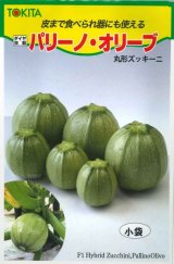 画像: 送料無料　[ズッキーニ]　パリーノシリーズ　10粒　オリーブ　トキタ種苗(株)