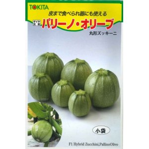 画像: 送料無料　[ズッキーニ]　パリーノシリーズ　10粒　オリーブ　トキタ種苗(株)