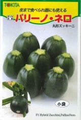 画像: 送料無料　[ズッキーニ]　パリーノシリーズ　10粒　ネロ　トキタ種苗(株)