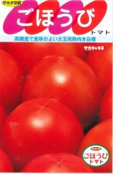 画像: 送料無料　[トマト]　ごほうび　100粒　(株)サカタのタネ