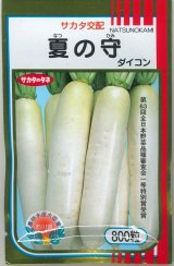 画像: 送料無料　[大根]　夏の守　800粒　(株)サカタのタネ