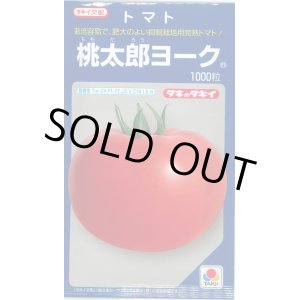 画像: 送料無料　[トマト/桃太郎系]　桃太郎ヨーク　1000粒　タキイ種苗(株)