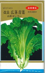 画像: 送料無料　[葉物]　山形せいさい　20ml　山形県種苗株式会社