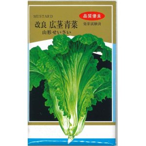 画像: 送料無料　[葉物]　山形せいさい　20ml　山形県種苗株式会社