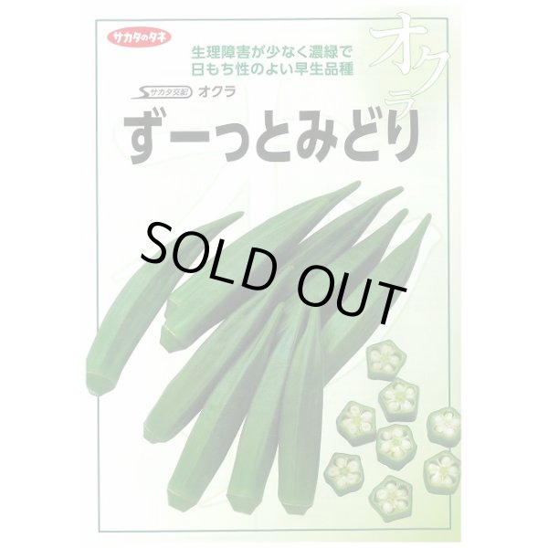 画像2: 送料無料　[オクラ]　ずーっとみどり　1000粒　(株)サカタのタネ (2)