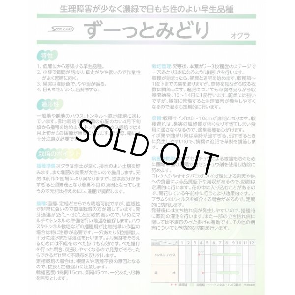 画像3: 送料無料　[オクラ]　ずーっとみどり　1000粒　(株)サカタのタネ (3)