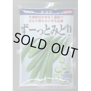 野菜種 オクラ の通販 グリーンロフトネモト通信販売サイト