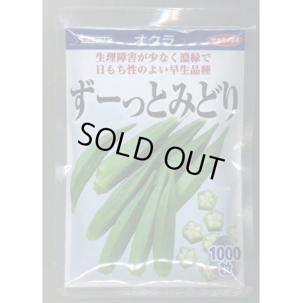 画像1: 送料無料　[オクラ]　ずーっとみどり　1000粒　(株)サカタのタネ (1)